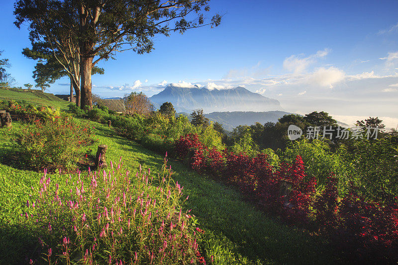 早上在泰国清迈的Doi Luang Chiang Dao欣赏美丽的山景